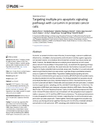 Targeting Multiple Pro-Apoptotic Signaling Pathways with Curcumin in Prostate Cancer Cells