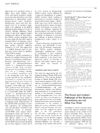The Direct and Indirect Pathways of the Nucleus Accumbens Are Not