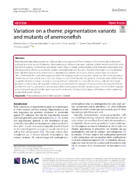 Pigmentation Variants and Mutants of Anemonefish
