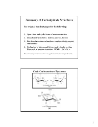 Summary of Carbohydrate Structures