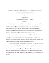Discovery, Expression Profiling, and Evolutionary Analysis Of
