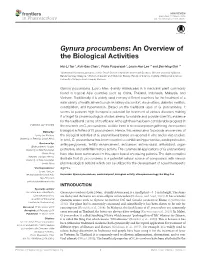 Gynura Procumbens: an Overview of the Biological Activities