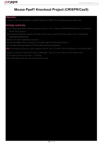 Mouse Ppef1 Knockout Project (CRISPR/Cas9)