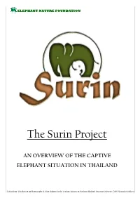 The Surin Project