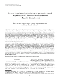 Dynamics of Ovarian Maturation During the Reproductive Cycle of Metynnis Maculatus, a Reservoir Invasive Fish Species (Teleostei: Characiformes)