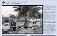 ROUNDTABLE Large Tree Relocation