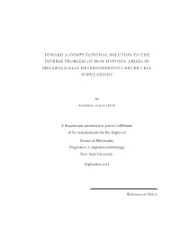 Toward a Computational Solution to the Inverse Problem of How Hypoxia Arises in Metabolically Heterogeneous Cancer Cell Populations