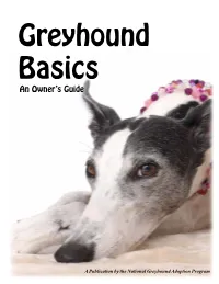 An Owner's Guide