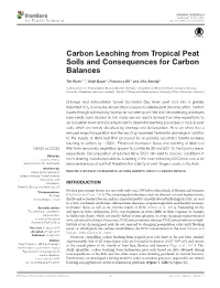 Carbon Leaching from Tropical Peat Soils and Consequences for Carbon Balances