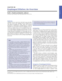 Esophageal Dilation: an Overview