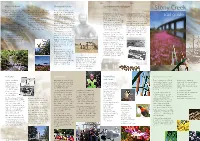 Stony Creek -.:: GEOCITIES.Ws