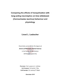 (Connochaetes Taurinus) Behaviour and Physiology