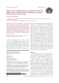 Notes on the Nesting Behaviour of Yellow Footed Green Pigeon Treron Phoenicoptera at Jeypore Reserve the Dilli Rivers Form a Part of the Reserve Boundary