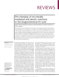 The Interplay of Microbially Mediated and Abiotic Reactions in the Biogeochemical Fe Cycle
