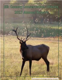 2017 Annual Report