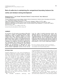 Cadherins in Brain Compartmentalisation 563 Juxtaposing the Transmembrane Domain of Pca-Cad6-HA Was Similarly Constructed