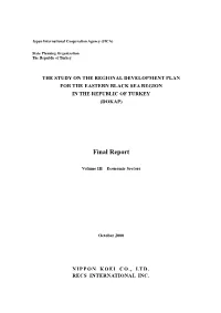 Final Report