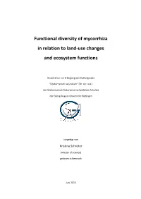 Functional Diversity of Mycorrhiza in Relation to Land-Use Changes and Ecosystem Functions