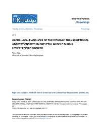 Global-Scale Analysis of the Dynamic Transcriptional Adaptations Within Skeletal Muscle During Hypertrophic Growth