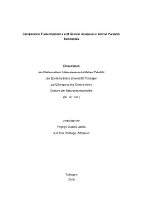 Tegegn Jaleta Phd Dissertation.Pdf