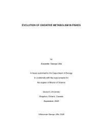 Evolution of Oxidative Metabolism in Fishes
