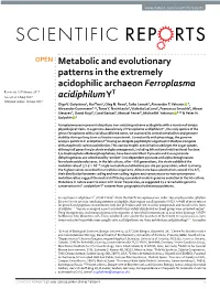 Metabolic and Evolutionary Patterns in the Extremely Acidophilic Archaeon