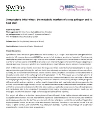 Zymoseptoria Tritici-Wheat: the Metabolic Interface of a Crop Pathogen and Its Host Plant