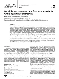 Decellularized Kidney Matrix As Functional Material for Whole Organ Tissue Engineering