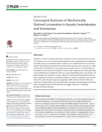 Convergent Evolution of Mechanically Optimal Locomotion in Aquatic Invertebrates and Vertebrates