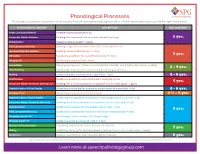 Phonological Processes