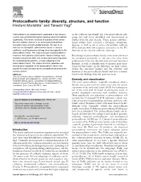 Protocadherin Family: Diversity, Structure, and Function Hirofumi Morishita1 and Takeshi Yagi2