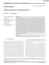 Queen Execution in a Monogynous Ant