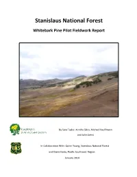 Stanislaus National Forest Whitebark Pine Pilot Fieldwork Report