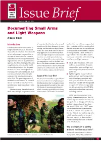 Documenting Small Arms and Light Weapons a Basic Guide
