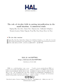 The Role of Circular Folds in Mixing Intensification in The