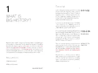 What Is Big History? Perhaps, Everything Is Going