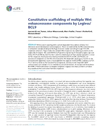 Constitutive Scaffolding of Multiple Wnt Enhanceosome Components By