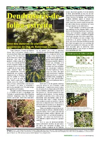 Dendroseris-De- Folha-Estreita