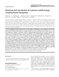 Structure and Mechanism of a Group-I Cobalt Energy Coupling Factor Transporter