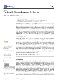 The Unfolded Protein Response: an Overview