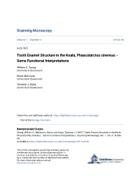 Tooth Enamel Structure in the Koala, Phascolarctos Cinereus: - Some Functional Interpretations