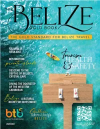 Alaiabelize.Com 2 Alaiabelize.Comcaribbeanlifestyle.COM CARIBBEANLIFESTYLE.COM 3 a Curious Place