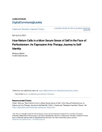How Nature Calls in a More Secure Sense of Self in the Face of Perfectionism: an Expressive Arts Therapy Journey to Self- Identity