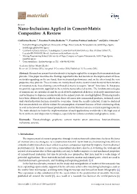 Nano-Inclusions Applied in Cement-Matrix Composites: a Review