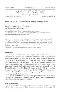 &lt;I&gt;Coccomyces&lt;/I&gt; with Dimorphic Paraphyses