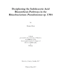 (Title of the Thesis)*