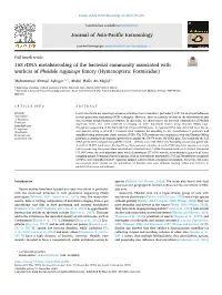 16S Rdna Metabarcoding of the Bacterial Community Associated with Workers of Pheidole Rugaticeps Emery (Hymenoptera: Formicidae)