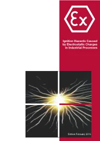 Ignition Hazards Caused by Electrostatic Charges in Industrial Processes