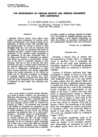 The Intergrowth of Fibrous Brucite and Fibrous