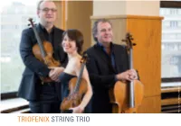 Triofenix String Trio Prograamme Suggestions